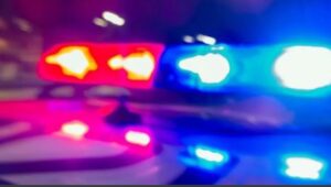 Dana Milan Motorcycle Accident White Bear Lake MN Death Obituary - 31-Year-Old Woman Died In Crash